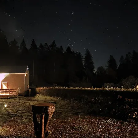 Tinyhouse Wald-liesl