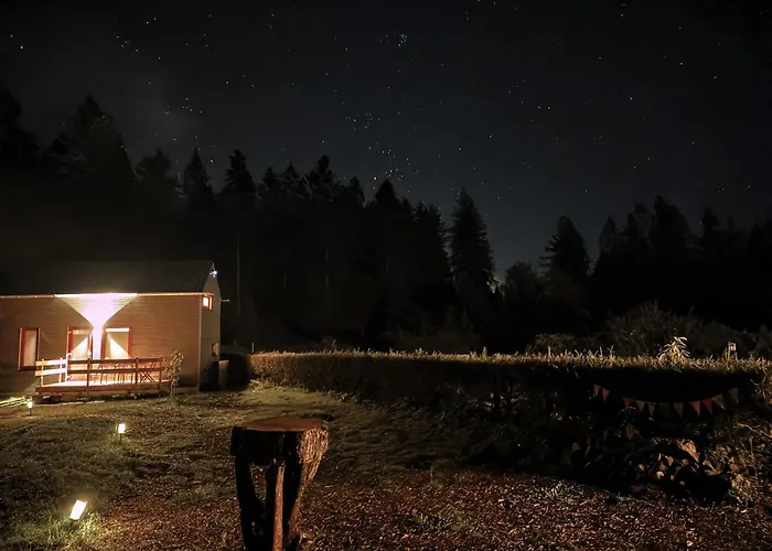 Tinyhouse Wald-liesl